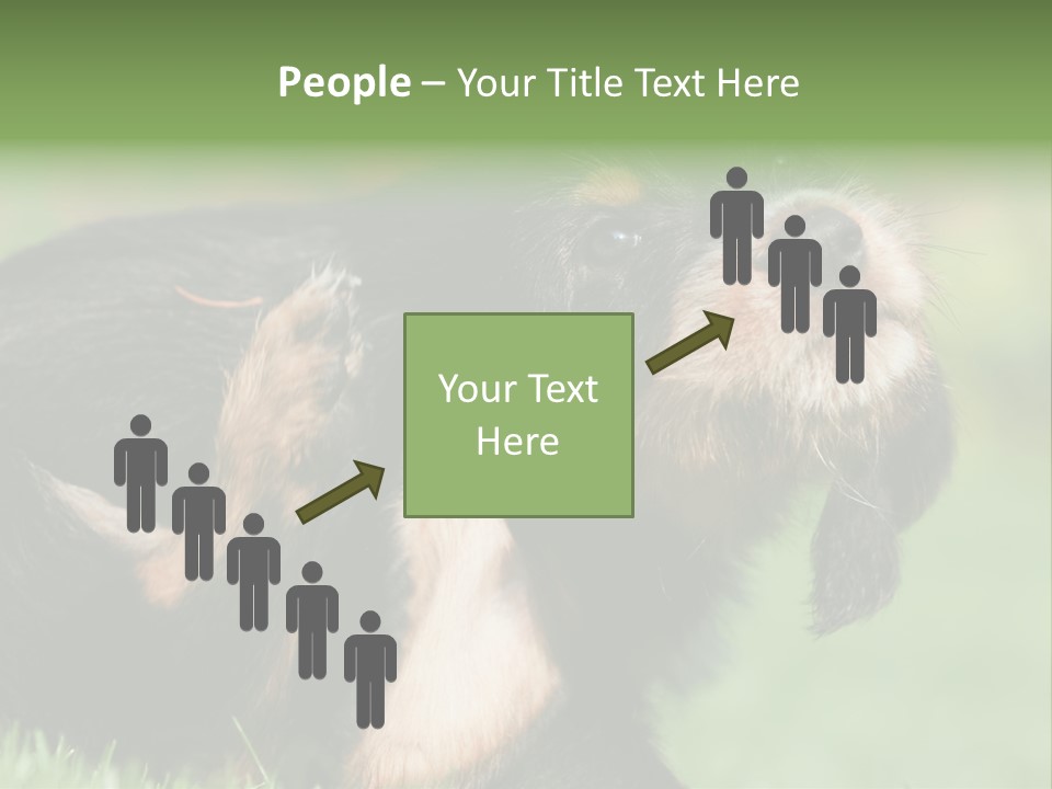 Scratch Puppydog Dog PowerPoint Template