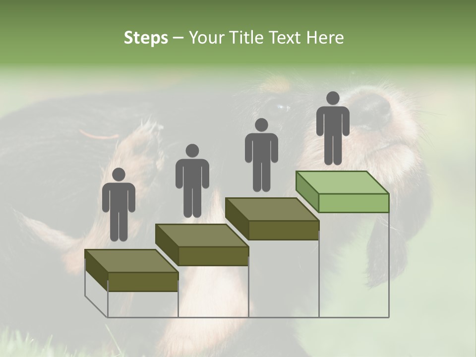 Scratch Puppydog Dog PowerPoint Template