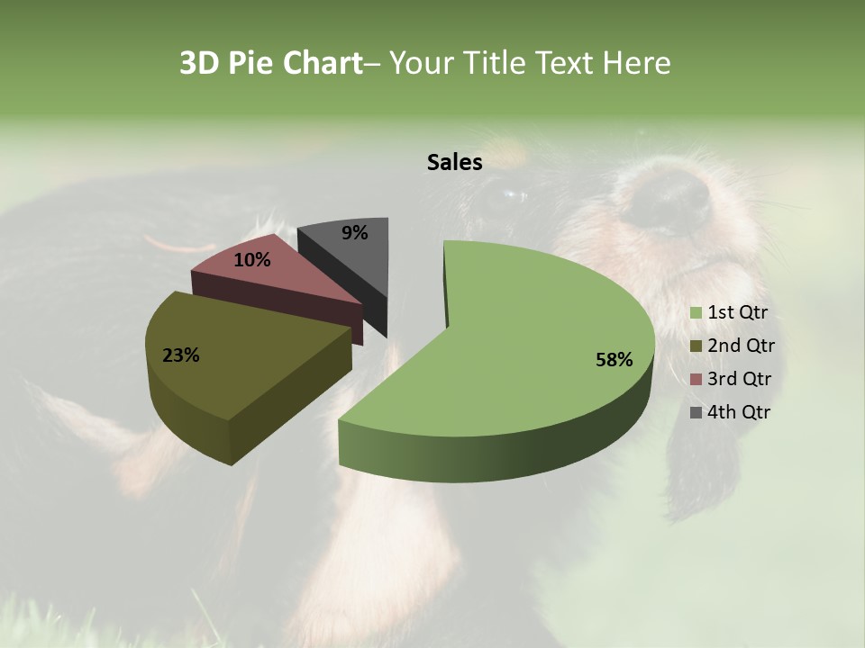 Scratch Puppydog Dog PowerPoint Template