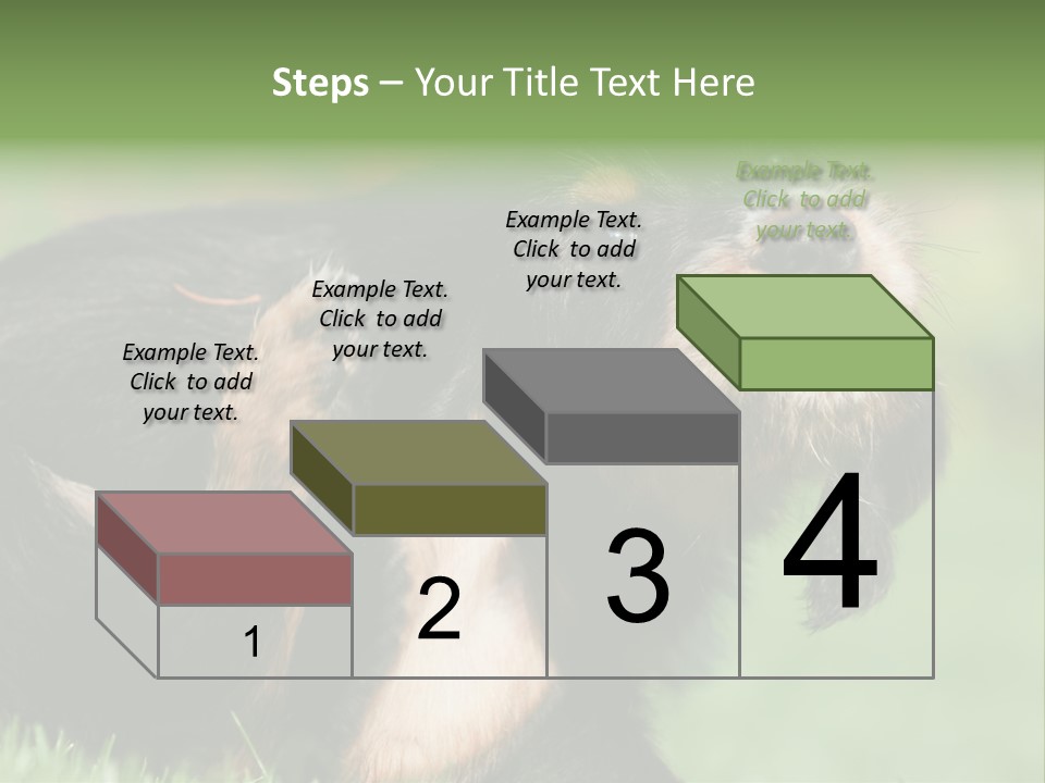 Scratch Puppydog Dog PowerPoint Template