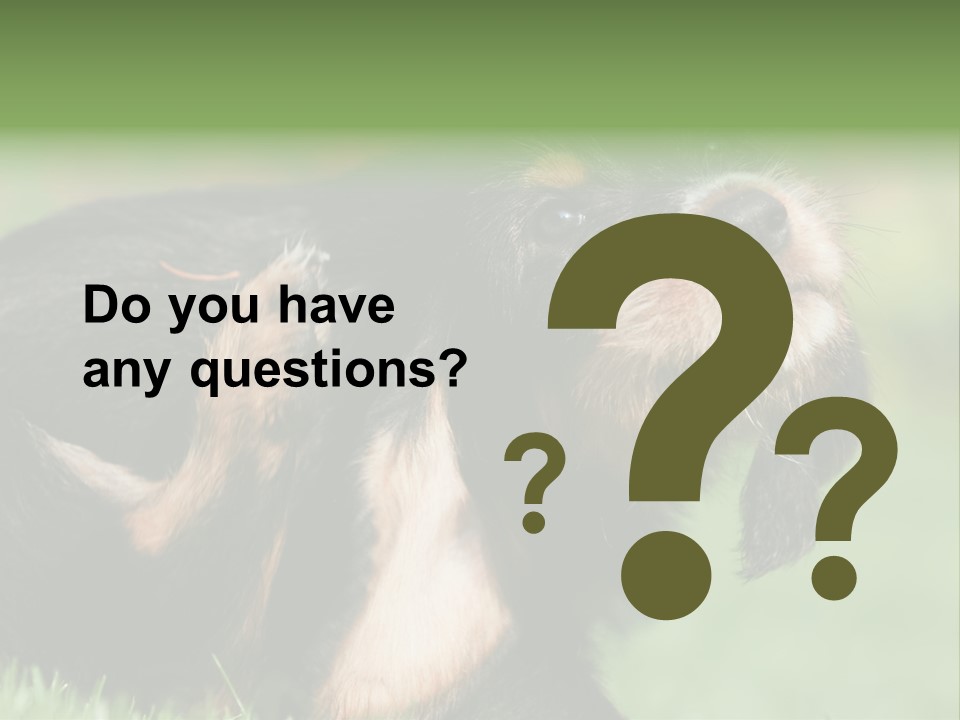 Scratch Puppydog Dog PowerPoint Template