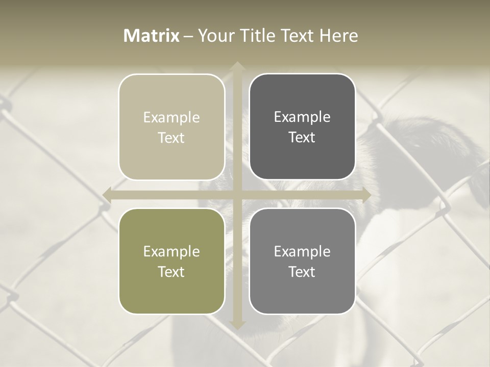 Animal Caged Homeless PowerPoint Template