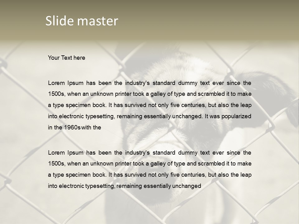 Animal Caged Homeless PowerPoint Template