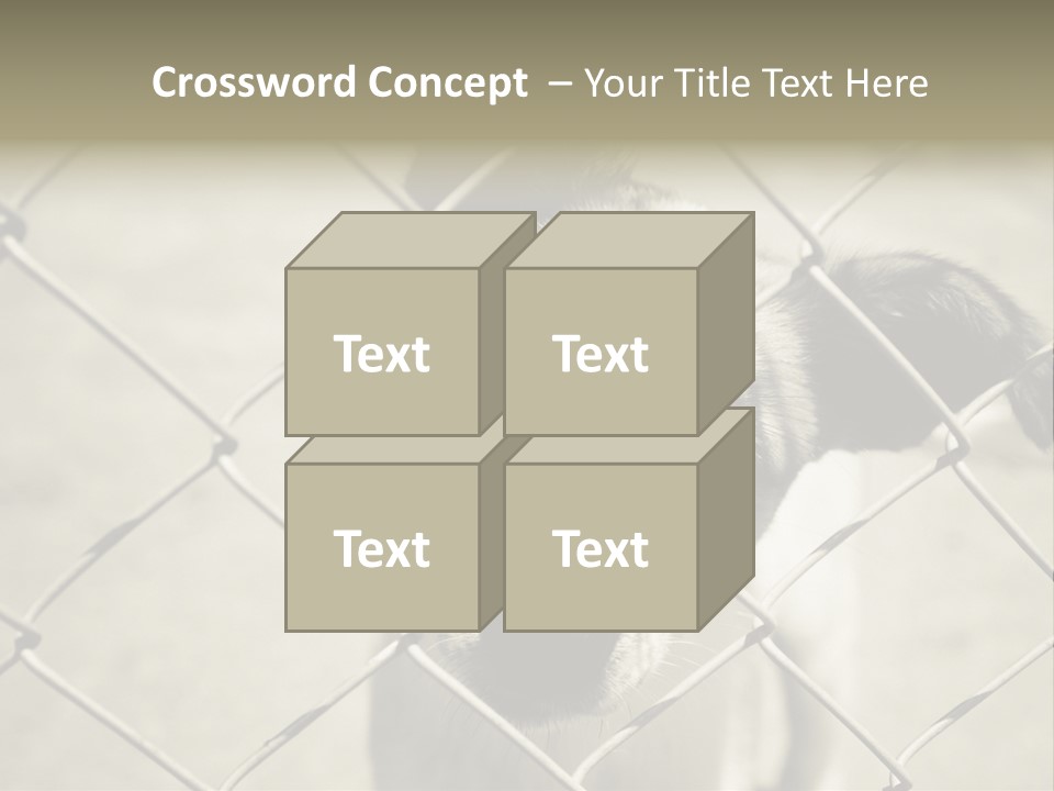 Animal Caged Homeless PowerPoint Template