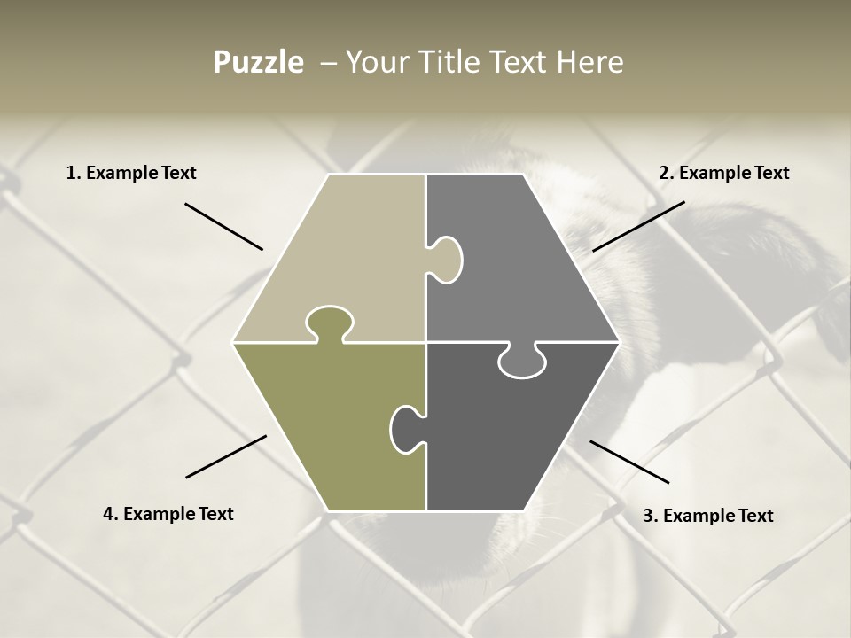 Animal Caged Homeless PowerPoint Template