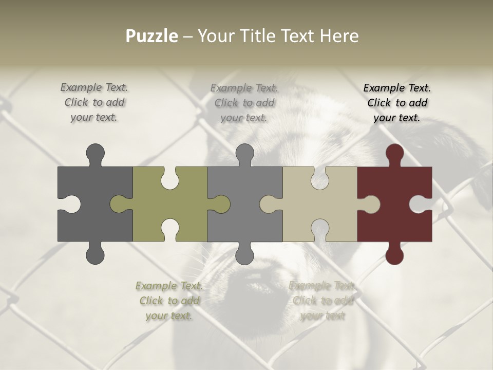 Animal Caged Homeless PowerPoint Template