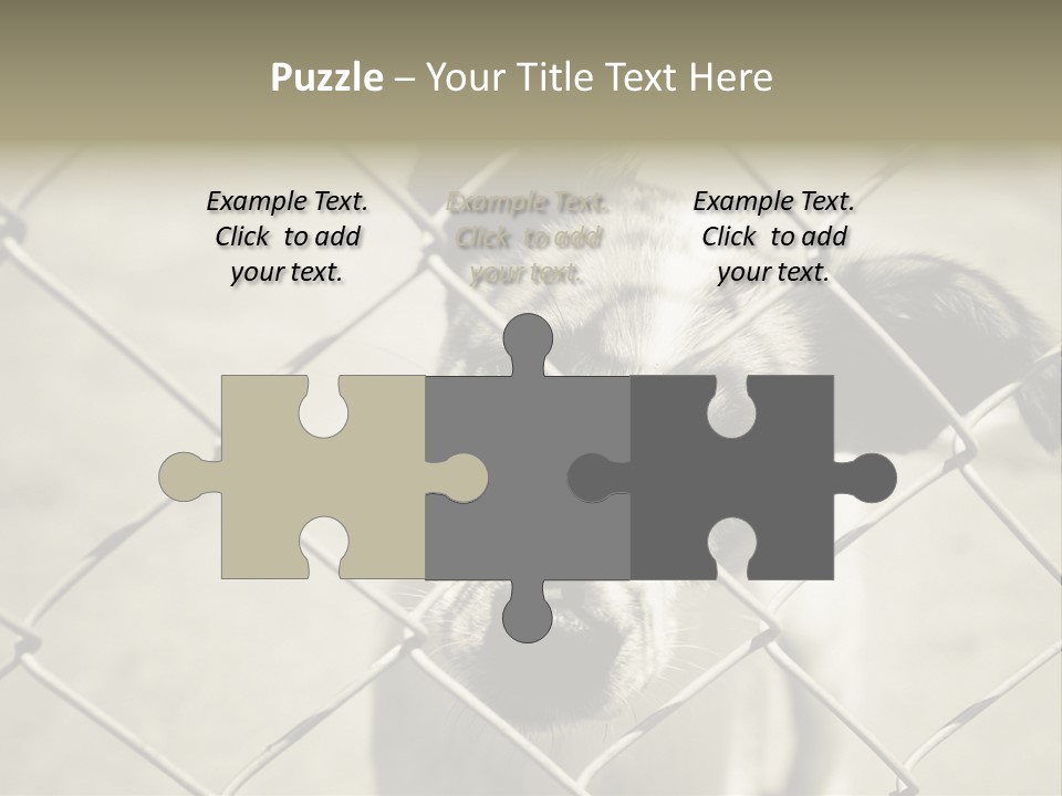 Animal Caged Homeless PowerPoint Template