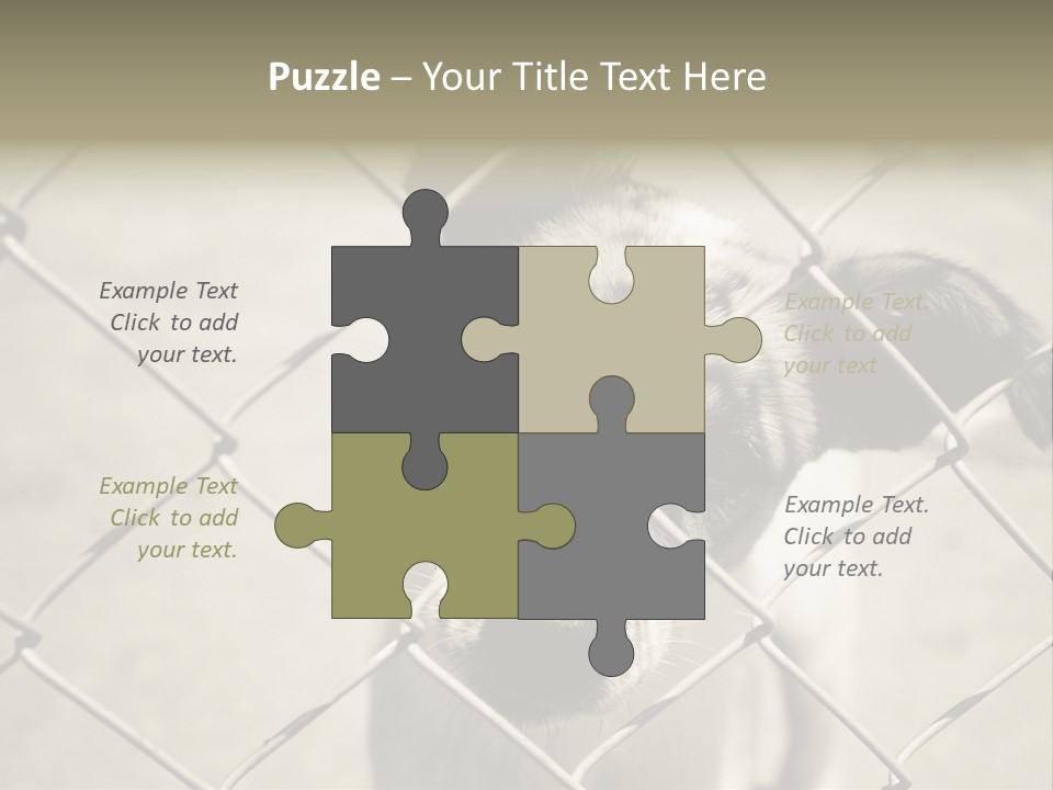 Animal Caged Homeless PowerPoint Template