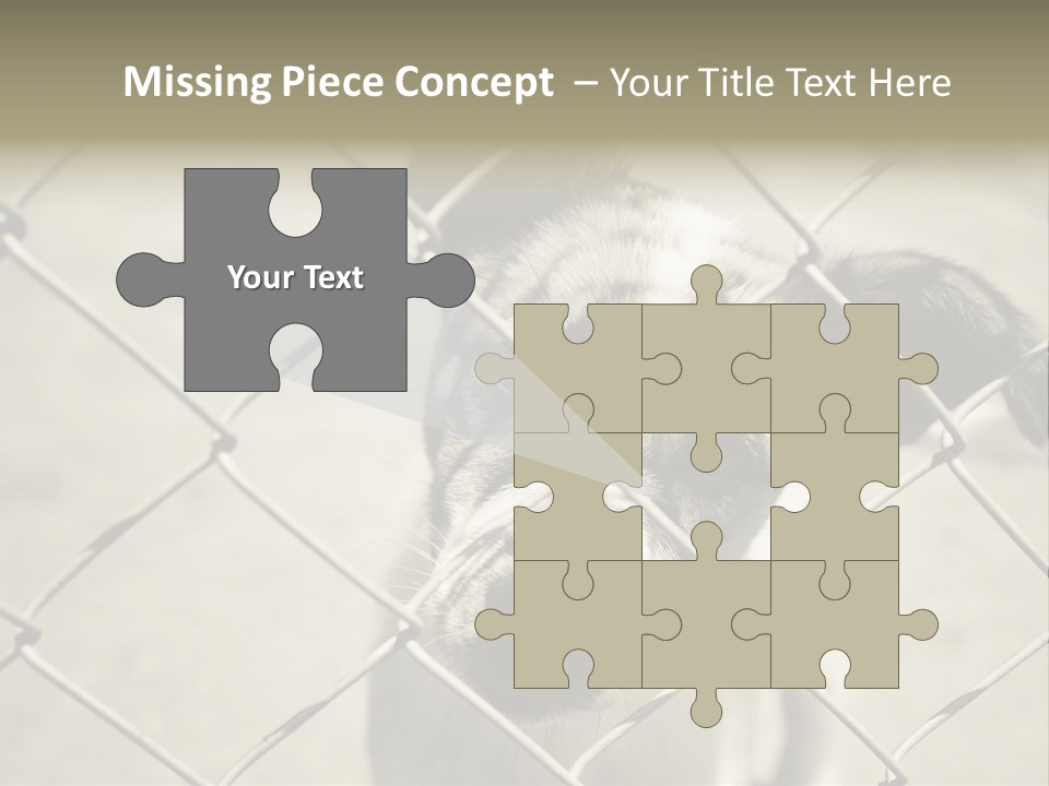 Animal Caged Homeless PowerPoint Template