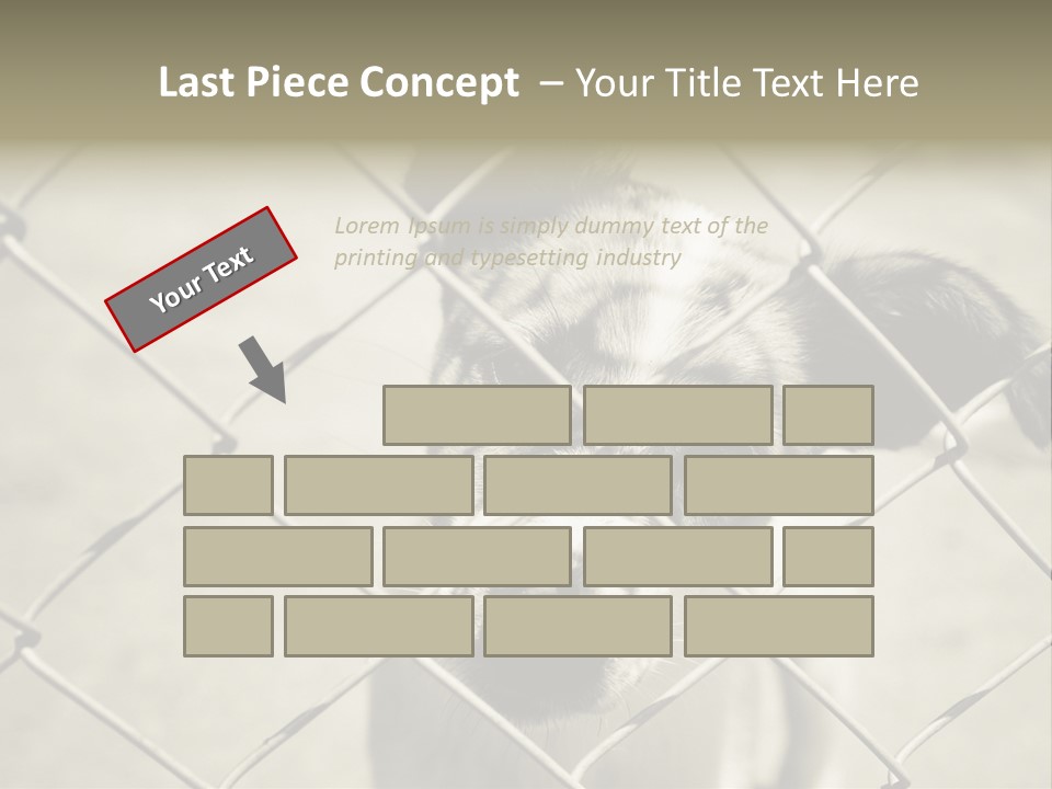 Animal Caged Homeless PowerPoint Template