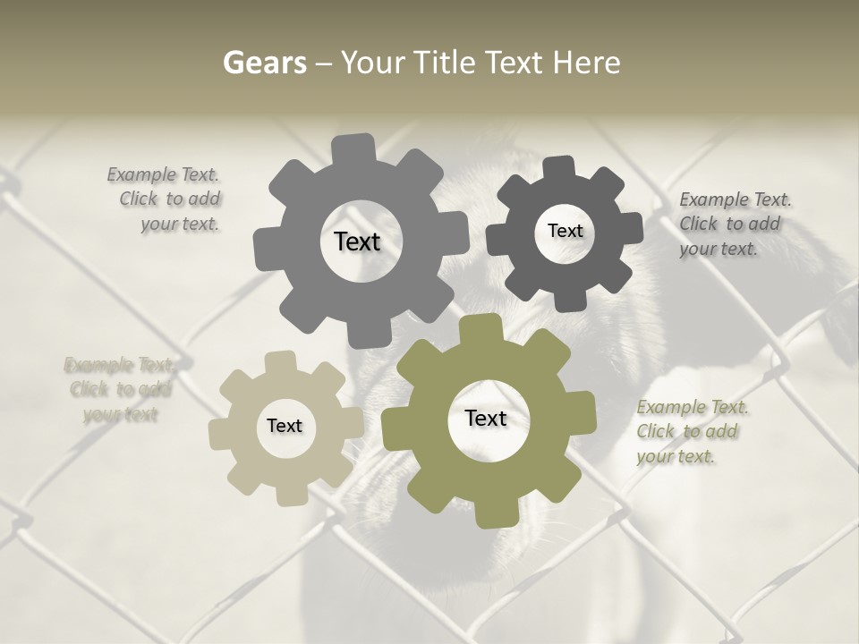 Animal Caged Homeless PowerPoint Template