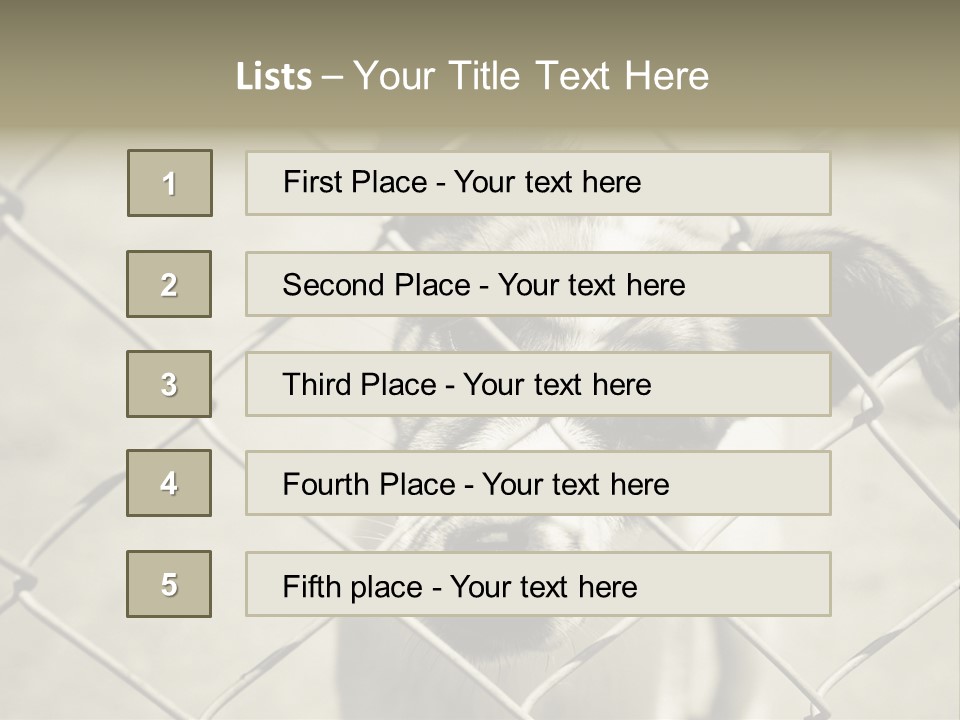 Animal Caged Homeless PowerPoint Template