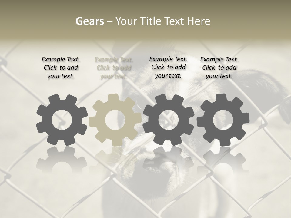 Animal Caged Homeless PowerPoint Template