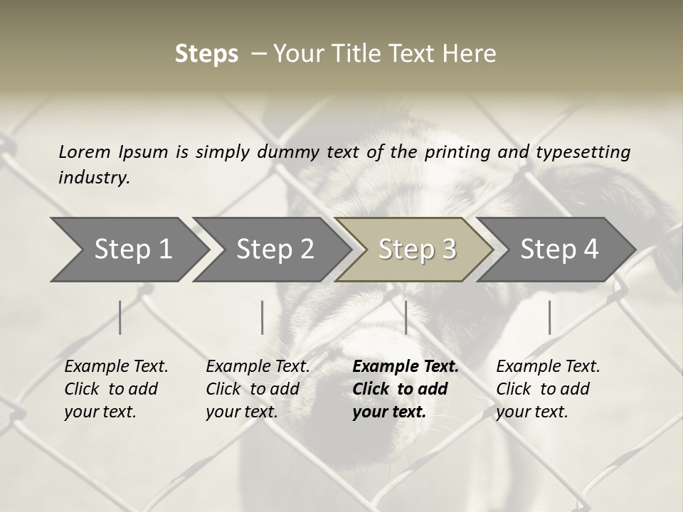 Animal Caged Homeless PowerPoint Template