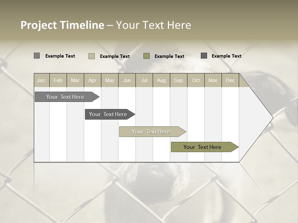 Animal Caged Homeless PowerPoint Template