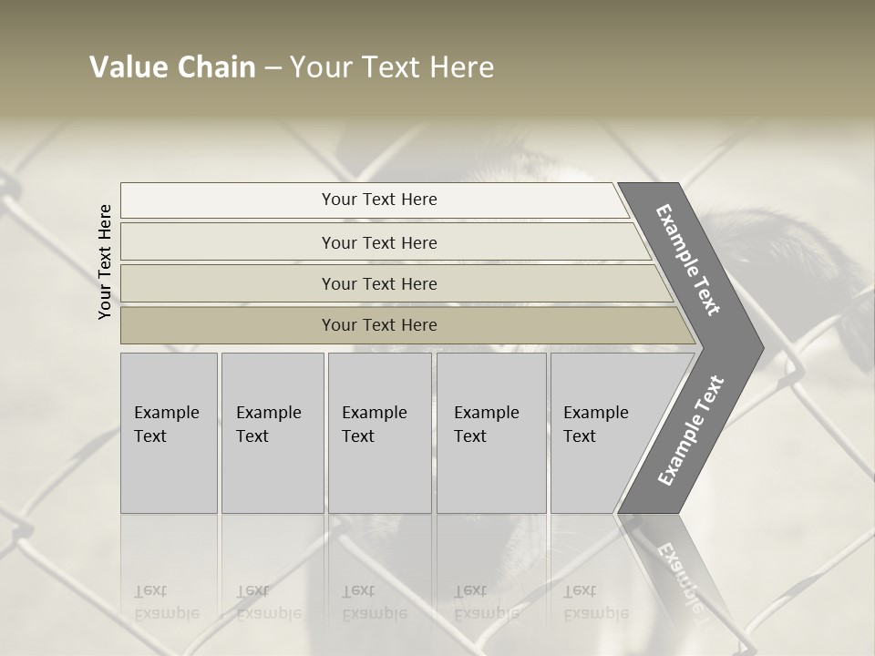 Animal Caged Homeless PowerPoint Template
