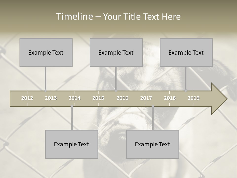 Animal Caged Homeless PowerPoint Template