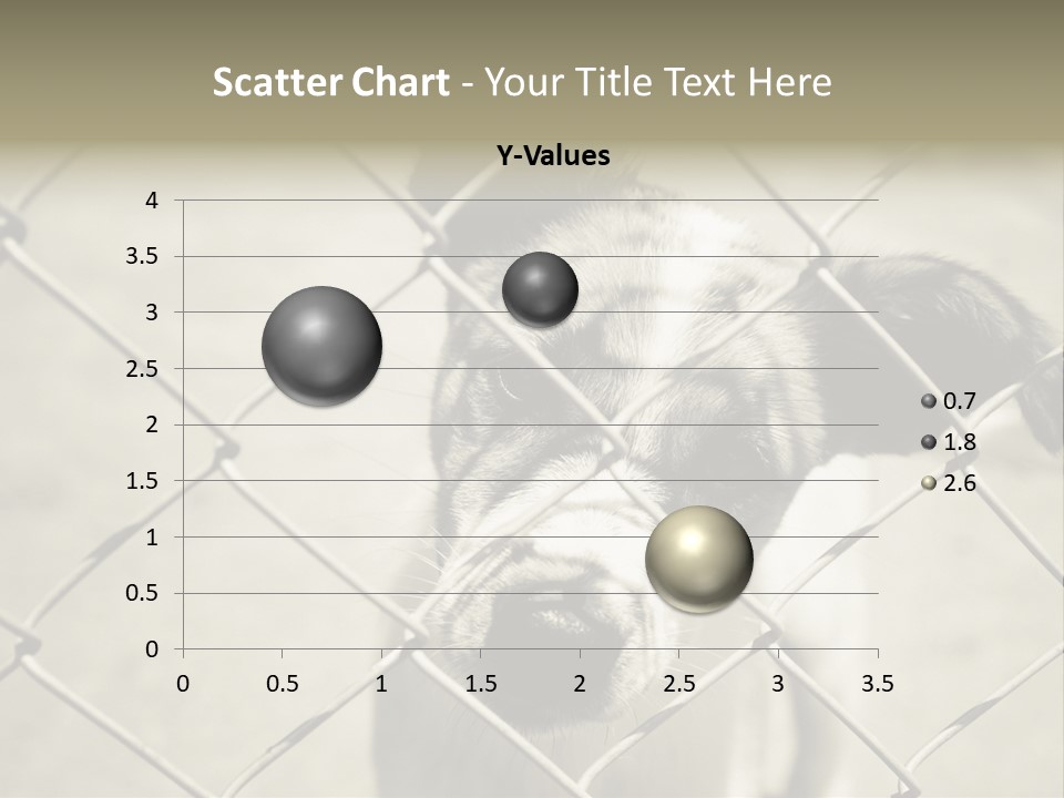 Animal Caged Homeless PowerPoint Template