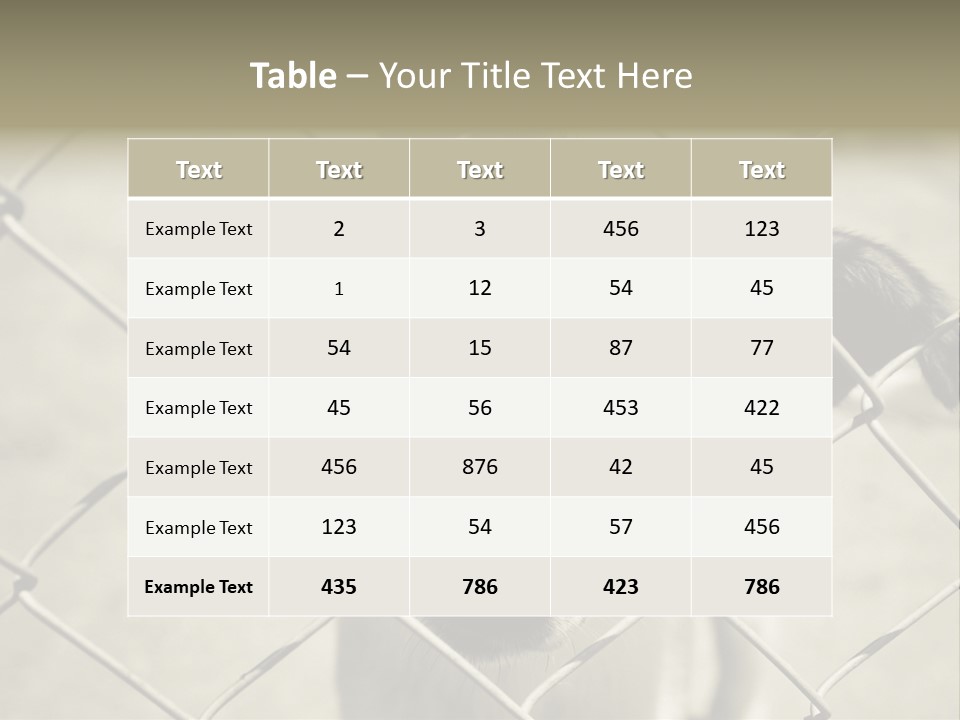 Animal Caged Homeless PowerPoint Template