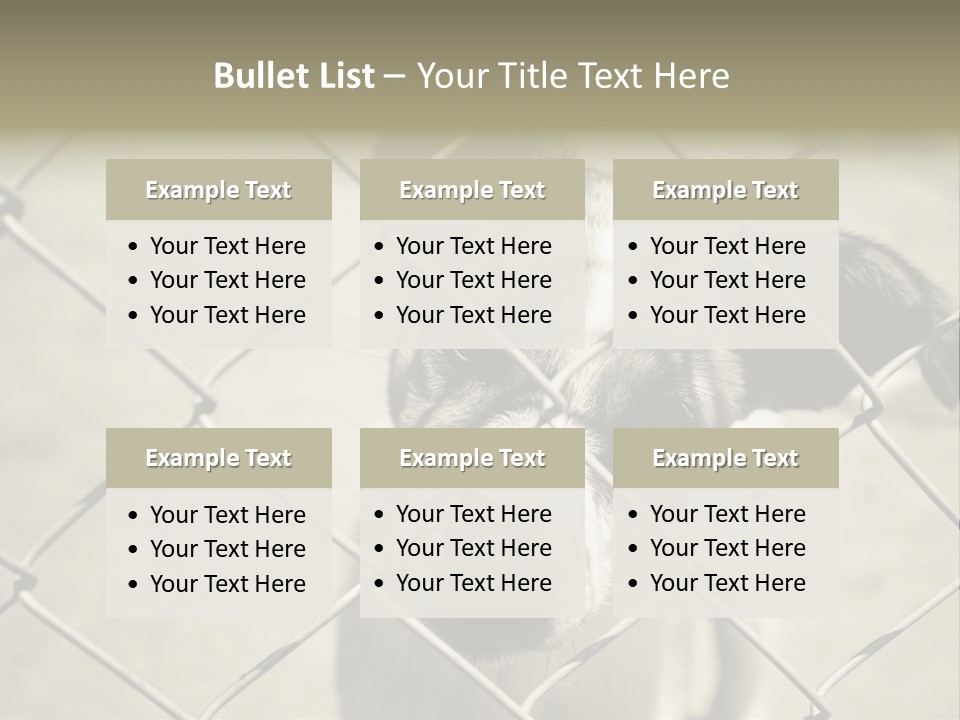 Animal Caged Homeless PowerPoint Template