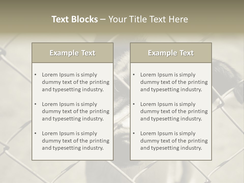 Animal Caged Homeless PowerPoint Template