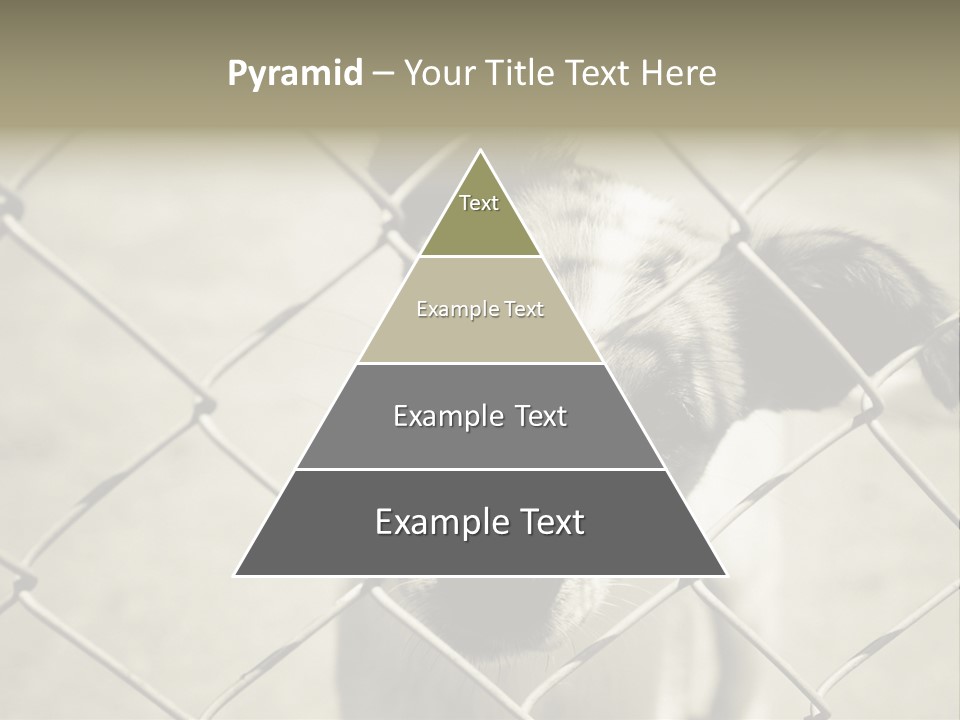 Animal Caged Homeless PowerPoint Template