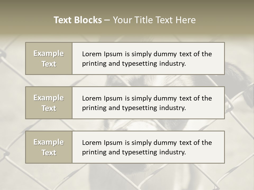 Animal Caged Homeless PowerPoint Template