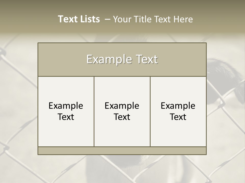 Animal Caged Homeless PowerPoint Template