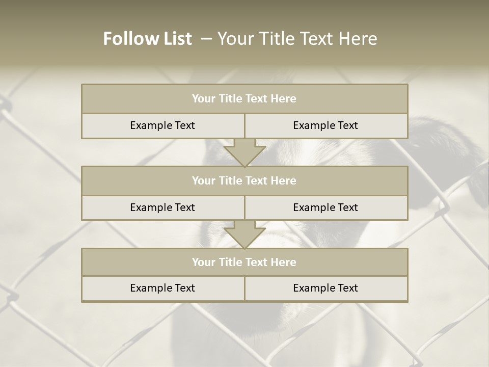 Animal Caged Homeless PowerPoint Template