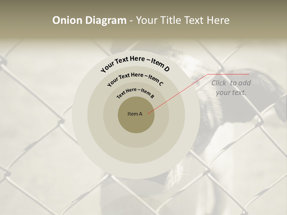 Animal Caged Homeless PowerPoint Template