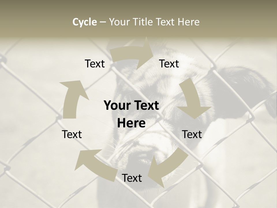 Animal Caged Homeless PowerPoint Template