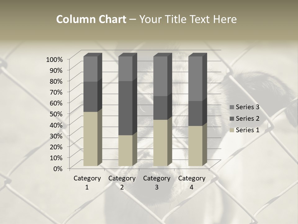 Animal Caged Homeless PowerPoint Template
