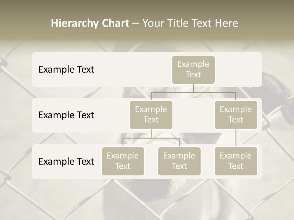 Animal Caged Homeless PowerPoint Template