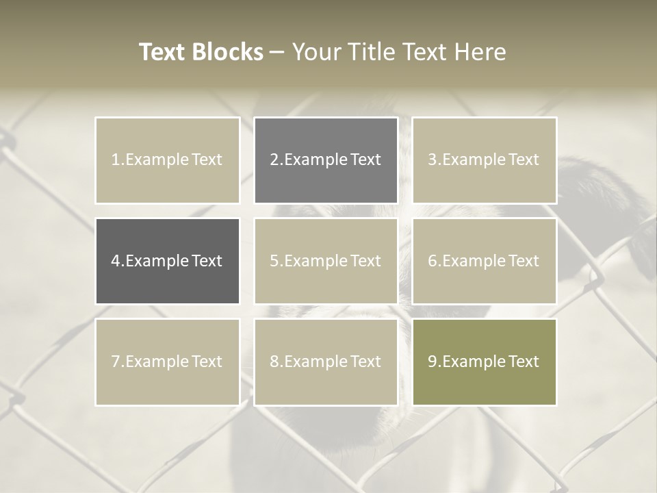 Animal Caged Homeless PowerPoint Template