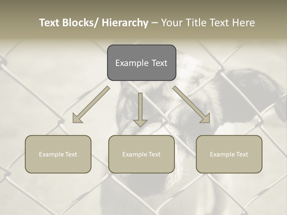 Animal Caged Homeless PowerPoint Template