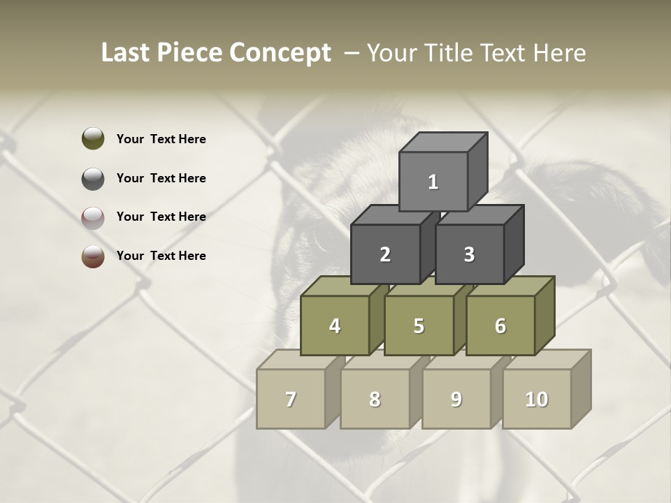 Animal Caged Homeless PowerPoint Template