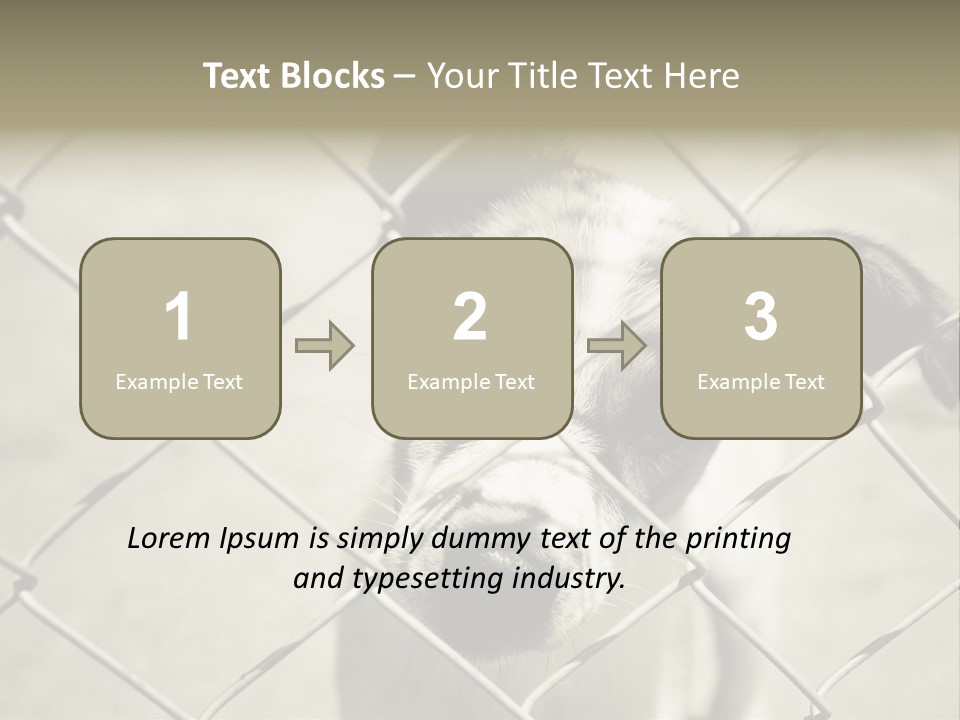 Animal Caged Homeless PowerPoint Template