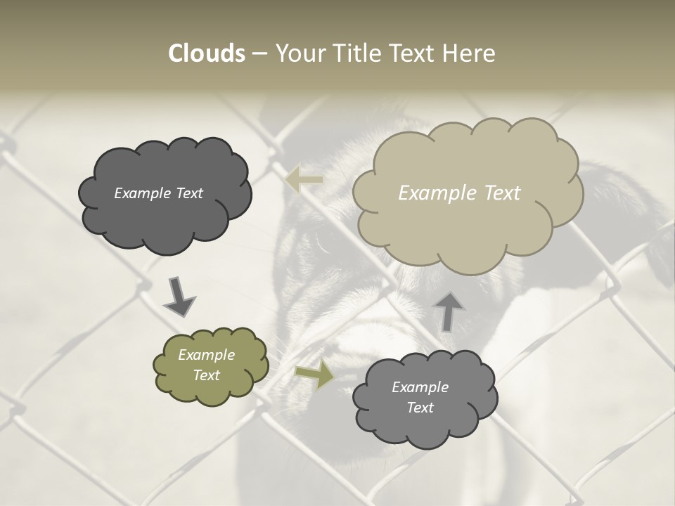 Animal Caged Homeless PowerPoint Template
