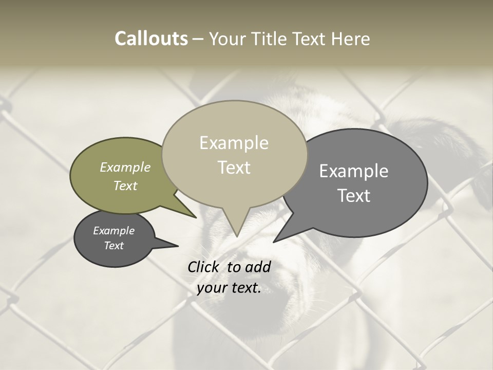 Animal Caged Homeless PowerPoint Template