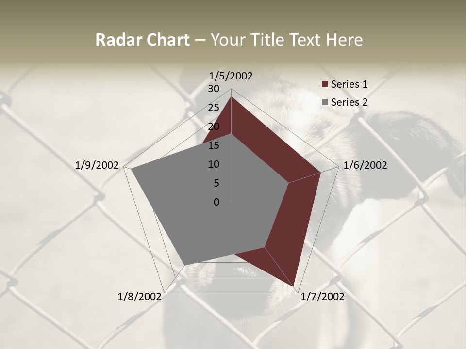 Animal Caged Homeless PowerPoint Template