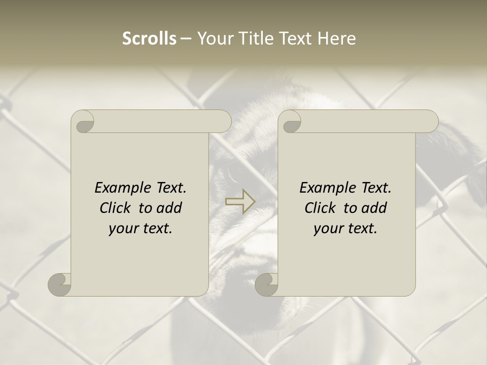 Animal Caged Homeless PowerPoint Template