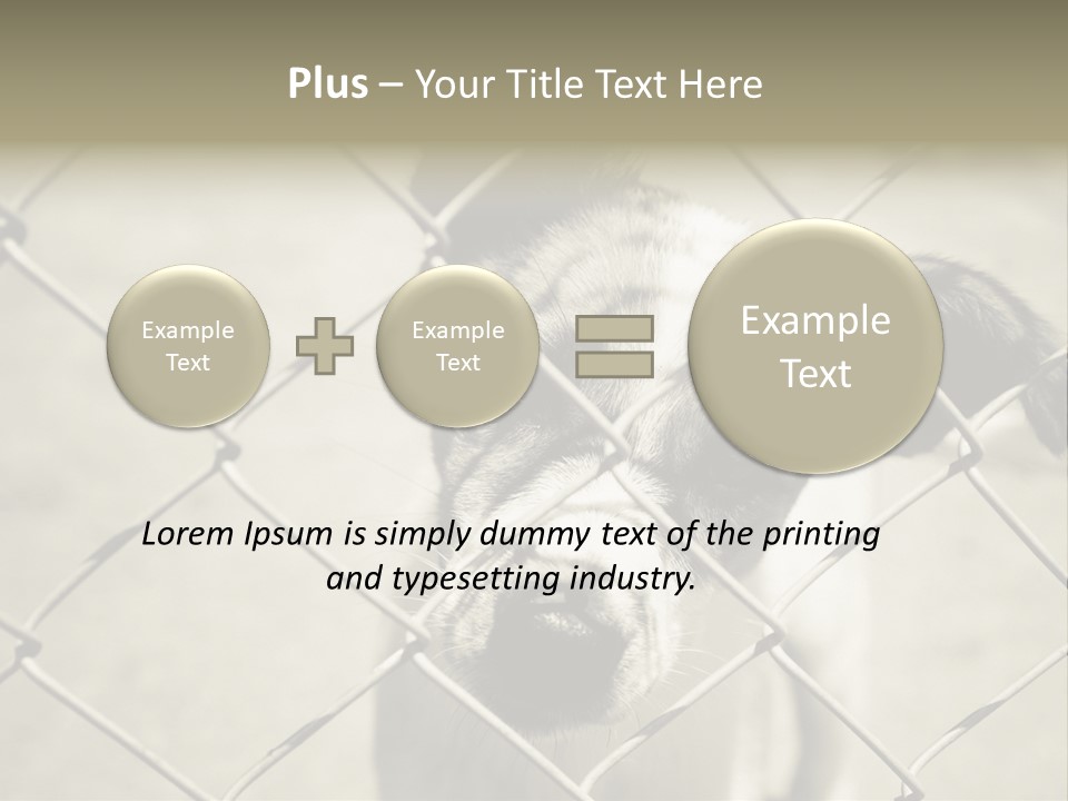 Animal Caged Homeless PowerPoint Template