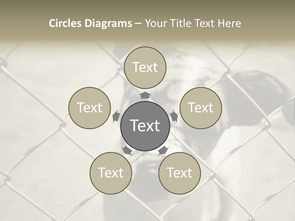 Animal Caged Homeless PowerPoint Template