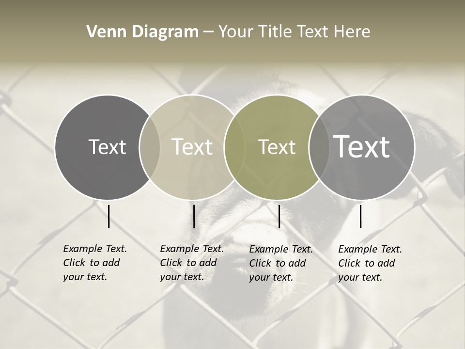 Animal Caged Homeless PowerPoint Template