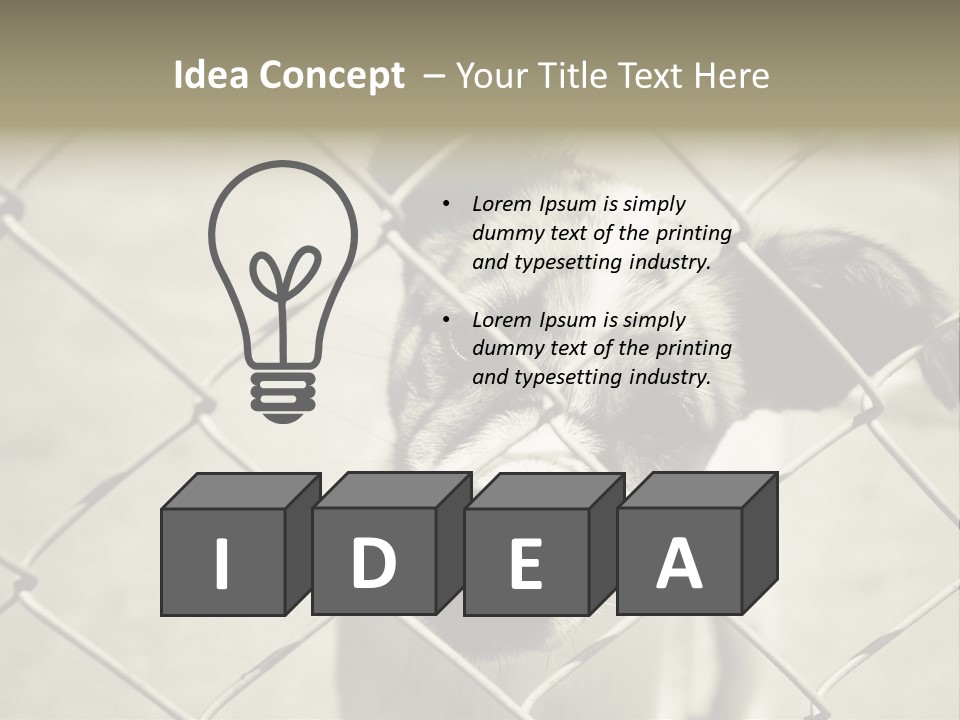 Animal Caged Homeless PowerPoint Template