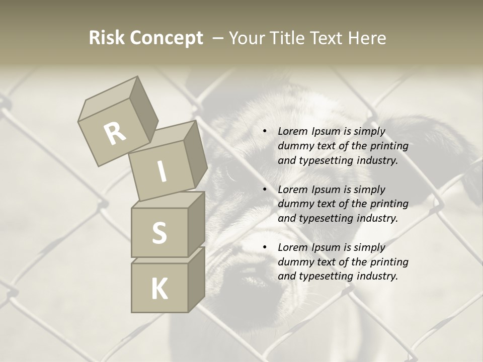 Animal Caged Homeless PowerPoint Template