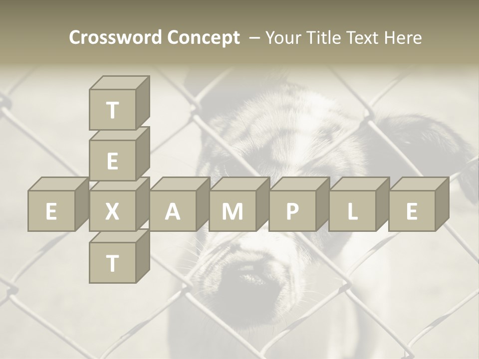 Animal Caged Homeless PowerPoint Template