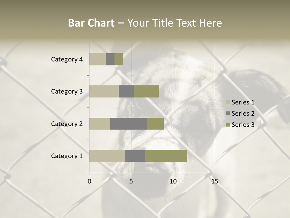 Animal Caged Homeless PowerPoint Template