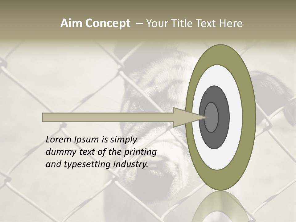 Animal Caged Homeless PowerPoint Template