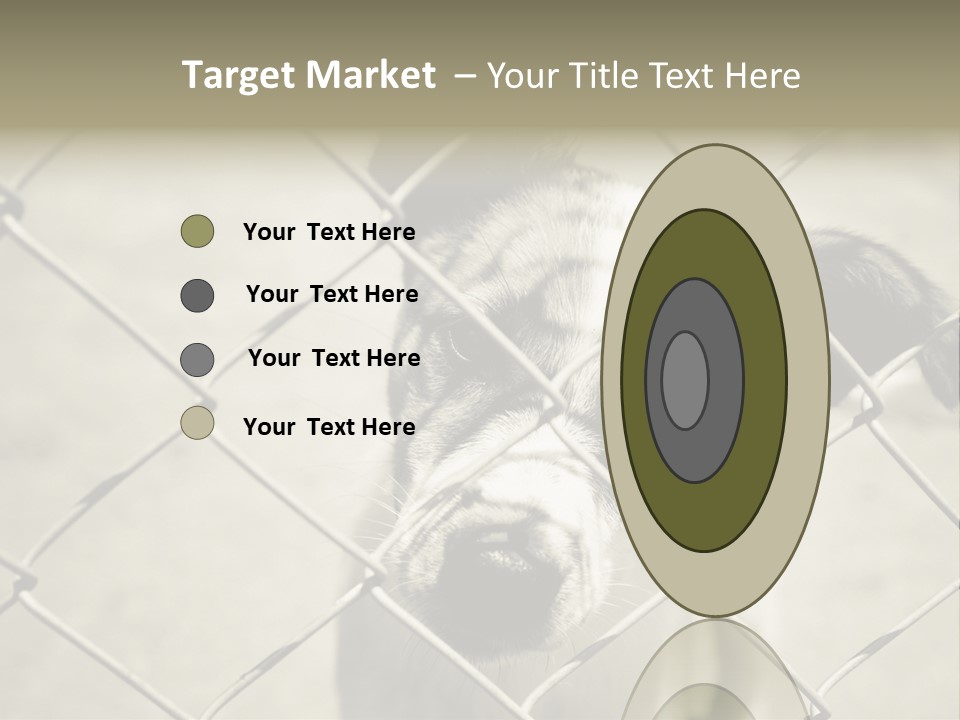 Animal Caged Homeless PowerPoint Template